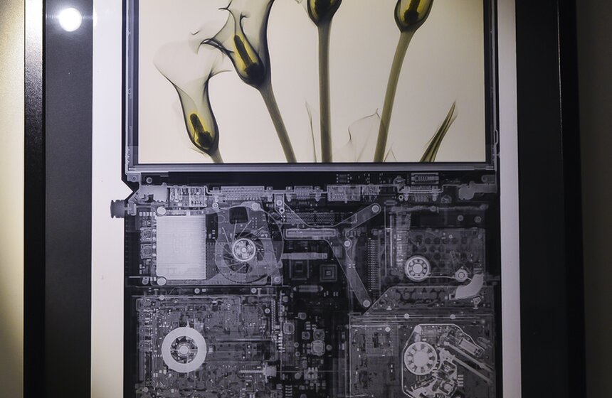 В столице открывается выставка "Искусство видеть насквозь" 10 фото