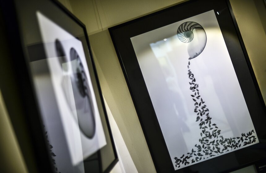 В столице открывается выставка "Искусство видеть насквозь" 11 фото