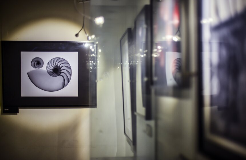 В столице открывается выставка "Искусство видеть насквозь" 12 фото