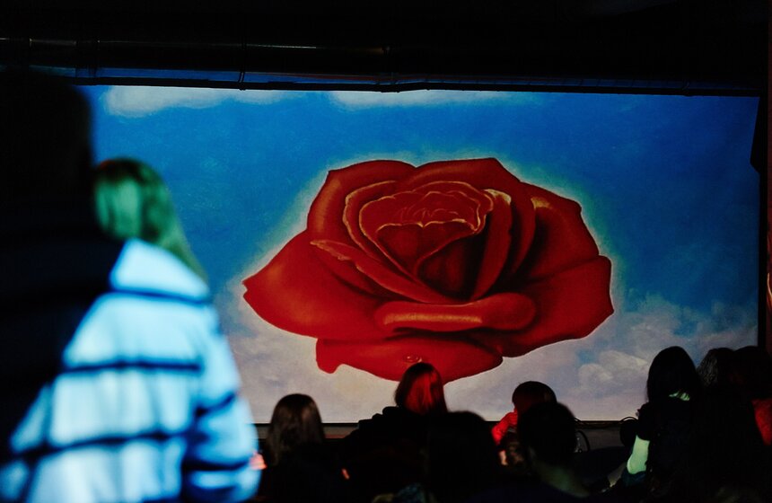 На выставке "Дали - живые полотна" прошел МузДжем 18 фото