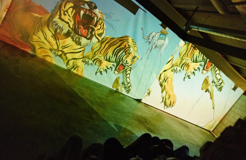 На выставке "Дали - живые полотна" прошел МузДжем 15 фото