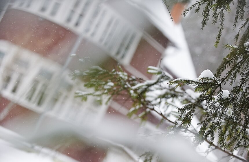 Со дня рождения Бориса Пастернака исполнилось 125 лет 2 фото