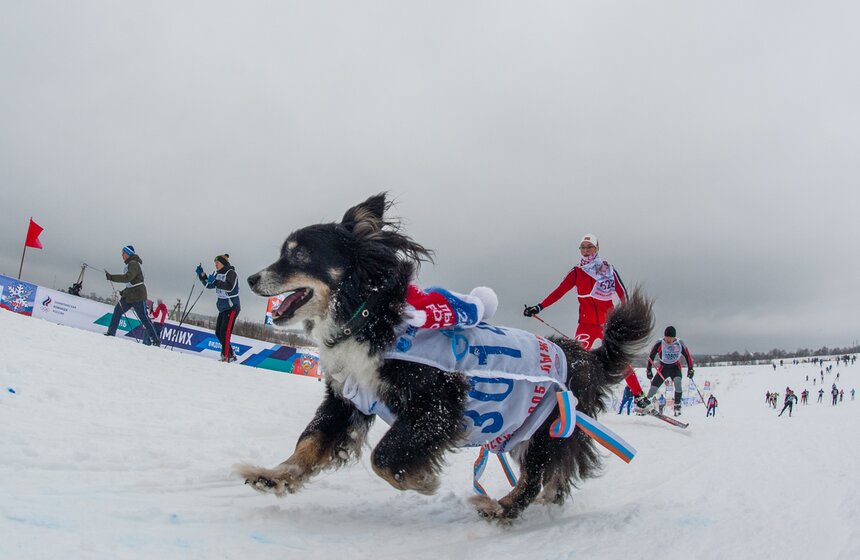 Стартовала XXXIII Всероссийская лыжная гонка "Лыжня России" 30 фото