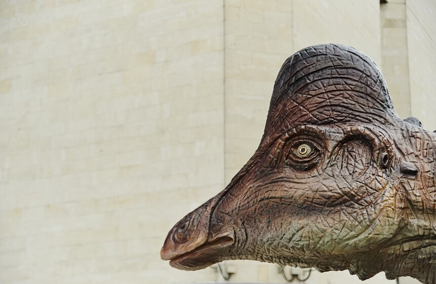 В Дарвиновском музее открыли скульптуру амурозавра 8 фото