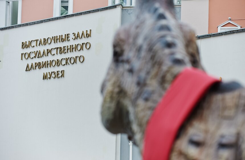 В Дарвиновском музее открыли скульптуру амурозавра 10 фото