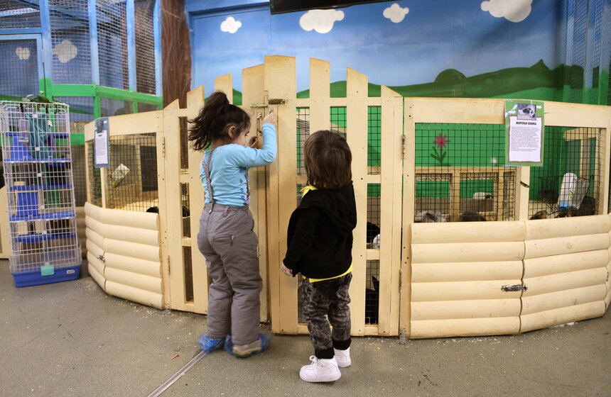 В контактном зоопарке создавали открытки для онкобольных 6 фото