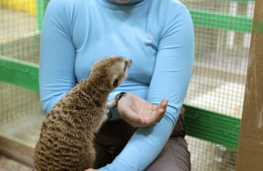 В контактном зоопарке создавали открытки для онкобольных 14 фото