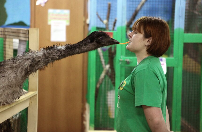 В контактном зоопарке создавали открытки для онкобольных 16 фото