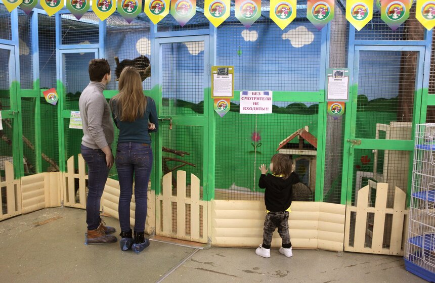 В контактном зоопарке создавали открытки для онкобольных 1 фото