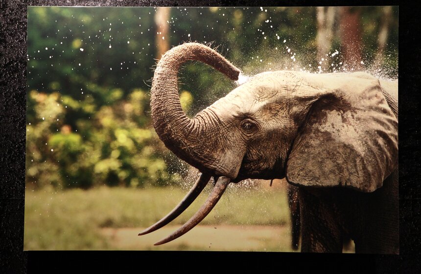 В центре дизайна Artplay открылась фотовыставка Ольги Мичи 19 фото