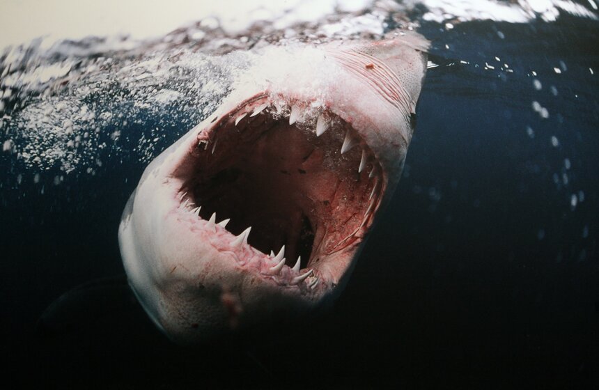 В центре дизайна Artplay открылась фотовыставка Ольги Мичи 15 фото