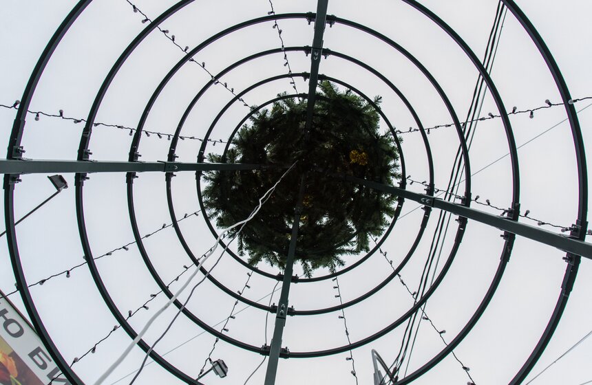 На улицах Москвы установили новогодние елки 4 фото