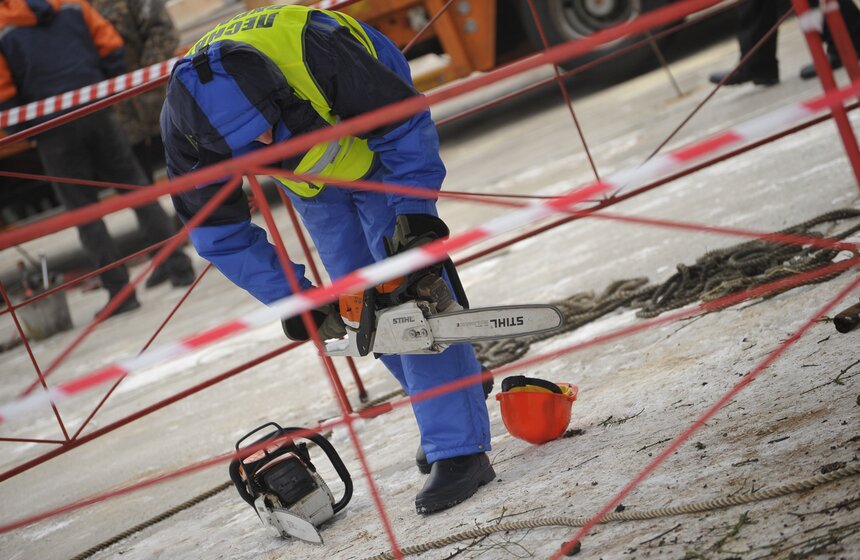 В Рузском районе Подмосковья срубили главную елку страны 6 фото