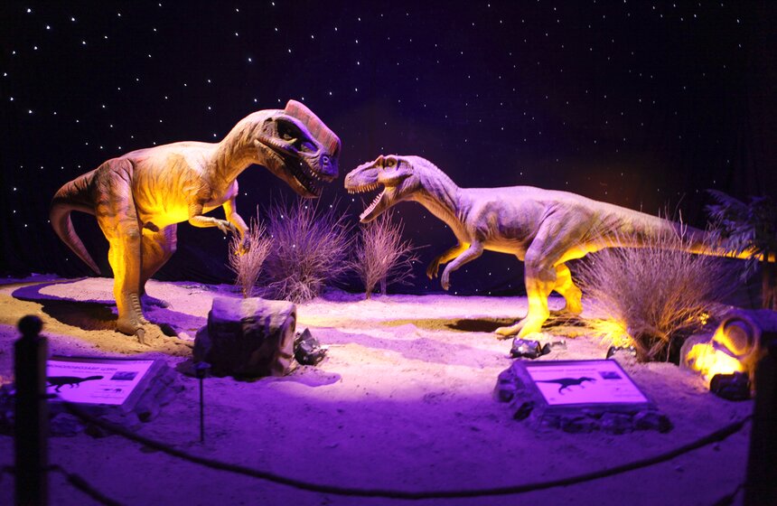 Сергей Собянин поприветствовал главного Деда Мороза на ВДНХ 14 фото