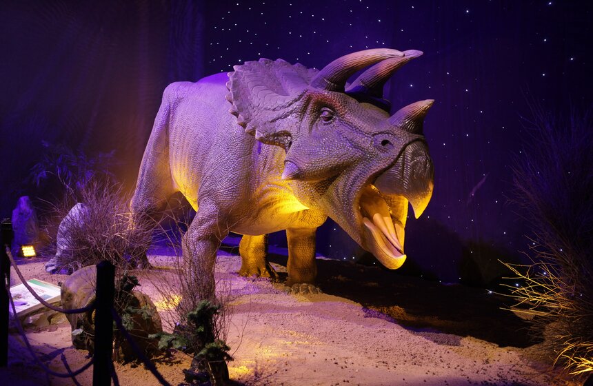 Сергей Собянин поприветствовал главного Деда Мороза на ВДНХ 15 фото