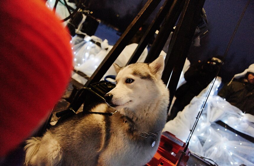 В парке "Садовники" выступили артисты театра "Огненные люди" 11 фото