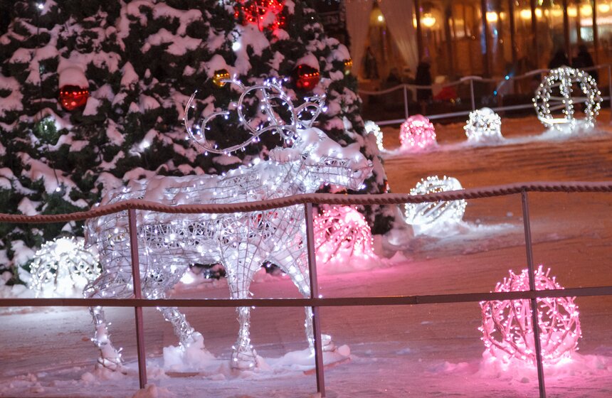 В "Сокольниках" открылись новогодние интерактивные программы 15 фото