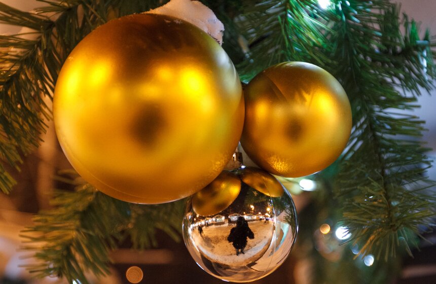 В "Сокольниках" открылись новогодние интерактивные программы 11 фото