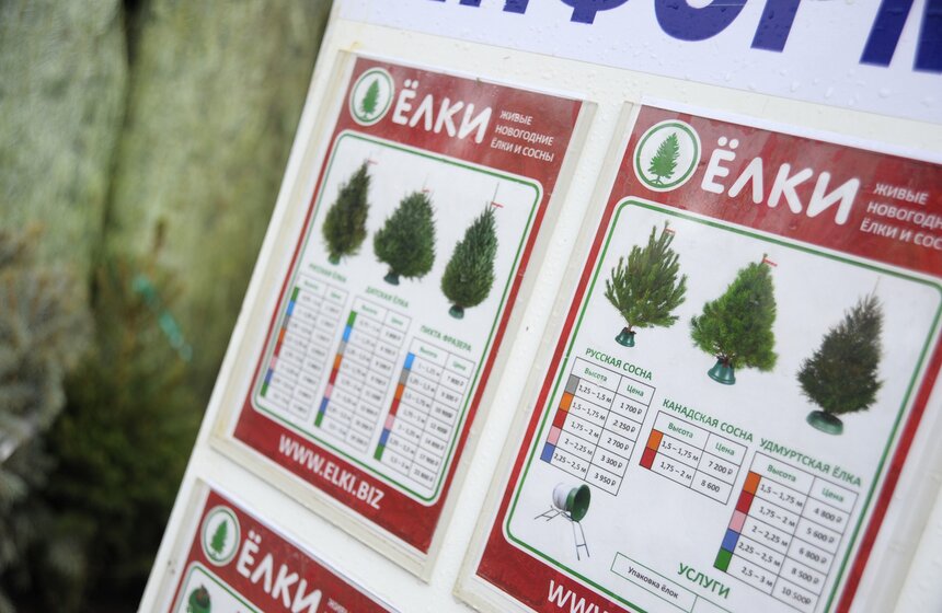 В Москве открылись елочные базары 3 фото