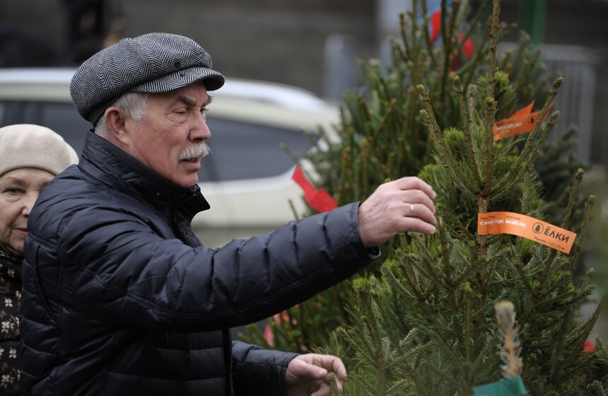 В Москве открылись елочные базары 2 фото