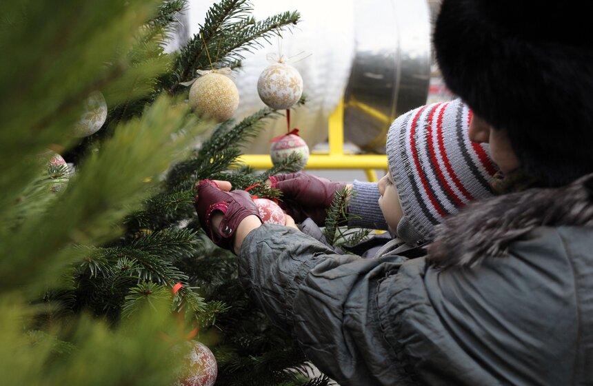 В Москве открылись елочные базары 10 фото