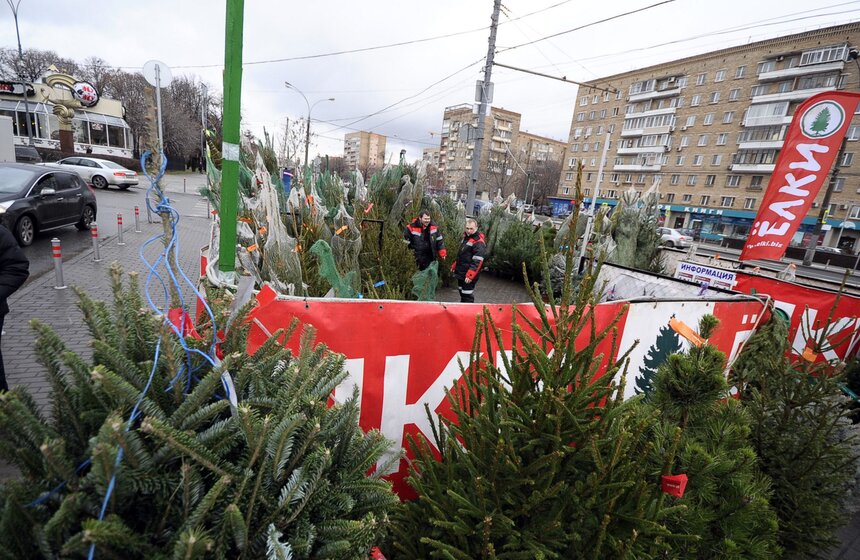 В Москве открылись елочные базары 6 фото