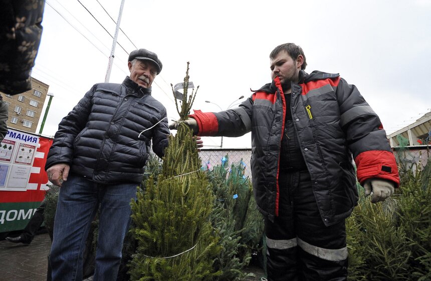 В Москве открылись елочные базары 5 фото