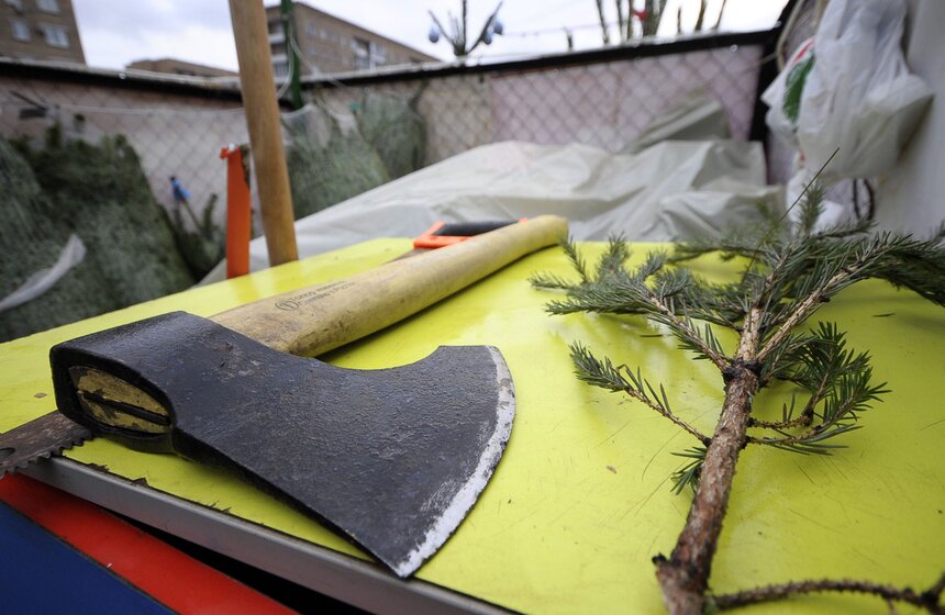 В Москве открылись елочные базары 4 фото