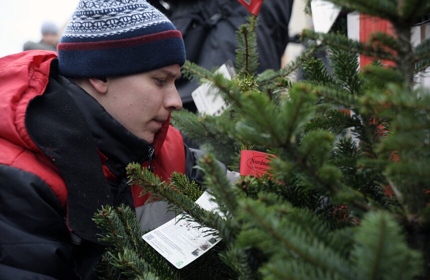 В Москве открылись елочные базары 8 фото