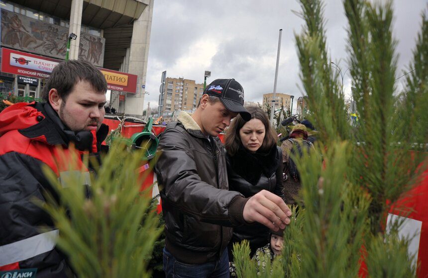 В Москве открылись елочные базары 19 фото