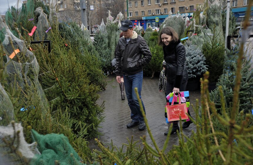 В Москве открылись елочные базары 18 фото