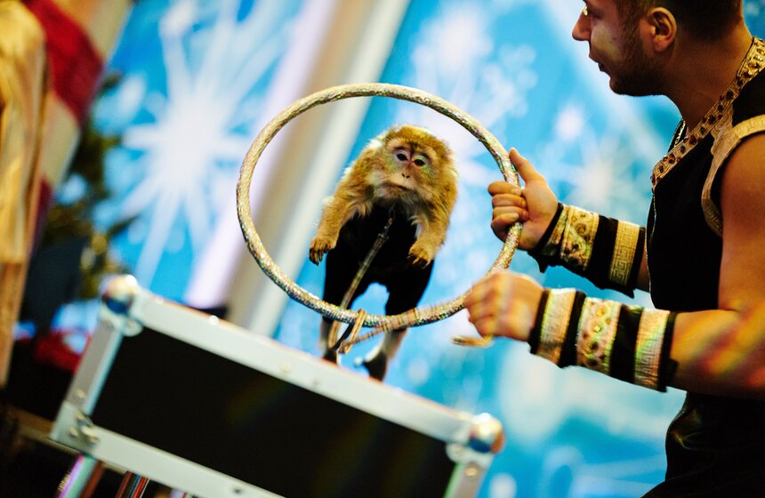 В здании правительства Москвы прошла первая новогодняя Елка мэра 18 фото