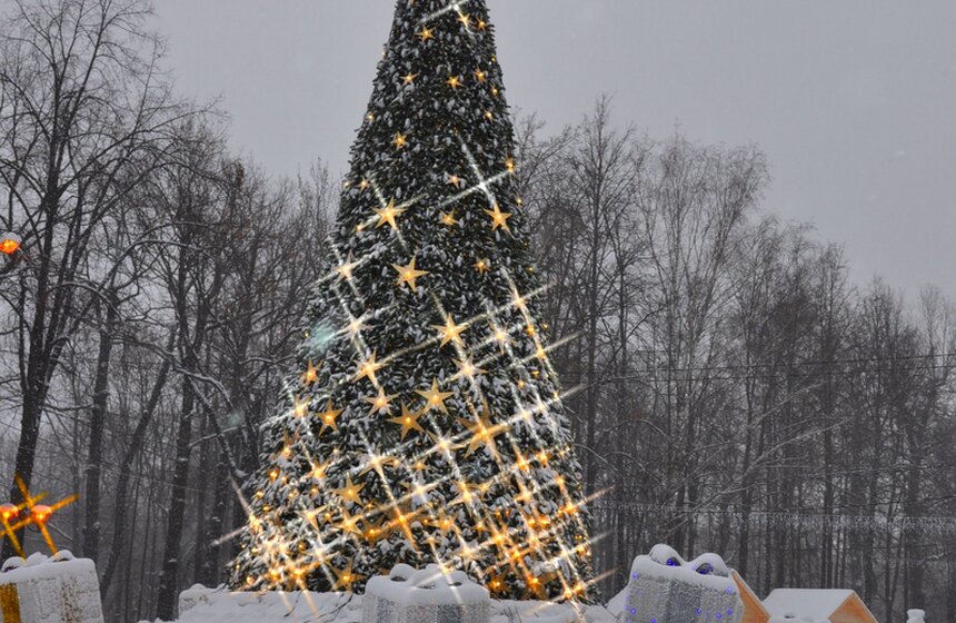 В Химках открылась самая большая новогодняя ярмарка Подмосковья 4 фото