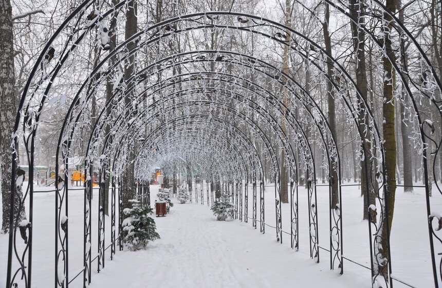 В Химках открылась самая большая новогодняя ярмарка Подмосковья 14 фото