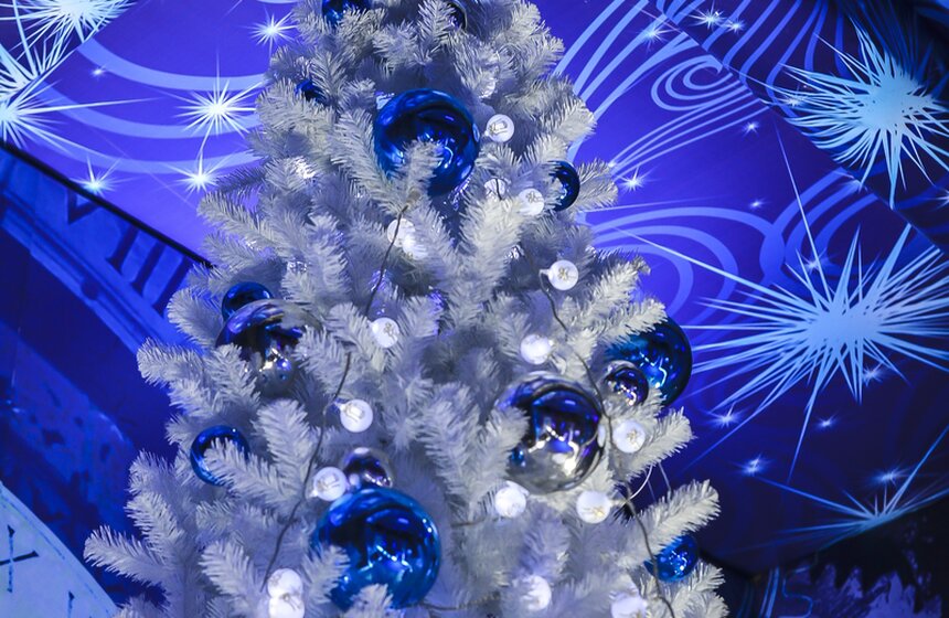 В резиденции Деда Мороза на ВДНХ прошла экскурсия 14 фото