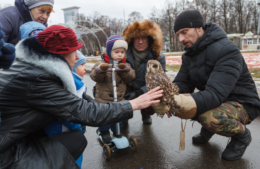 В Сокольниках прошла акция "Покорми птиц зимой!" 3 фото