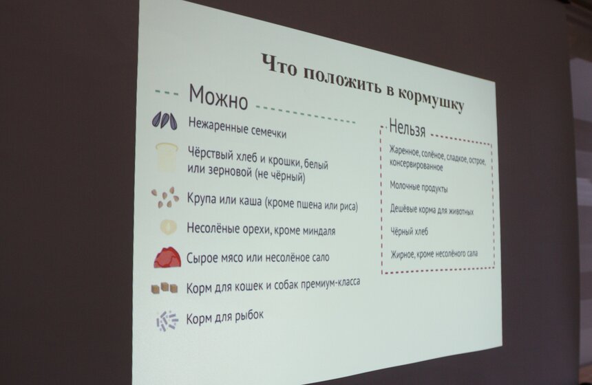 В Сокольниках прошла акция "Покорми птиц зимой!" 18 фото