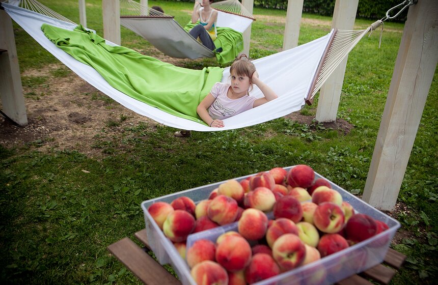 В парке им.Горького открыли специальную беседку 3 фото