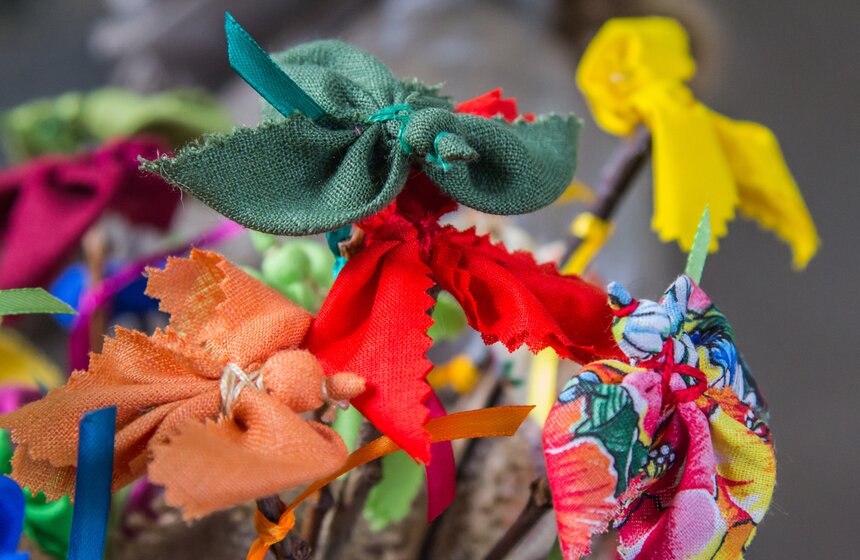 На Воробьевых горах завершается "Зеленая неделя" 3 фото