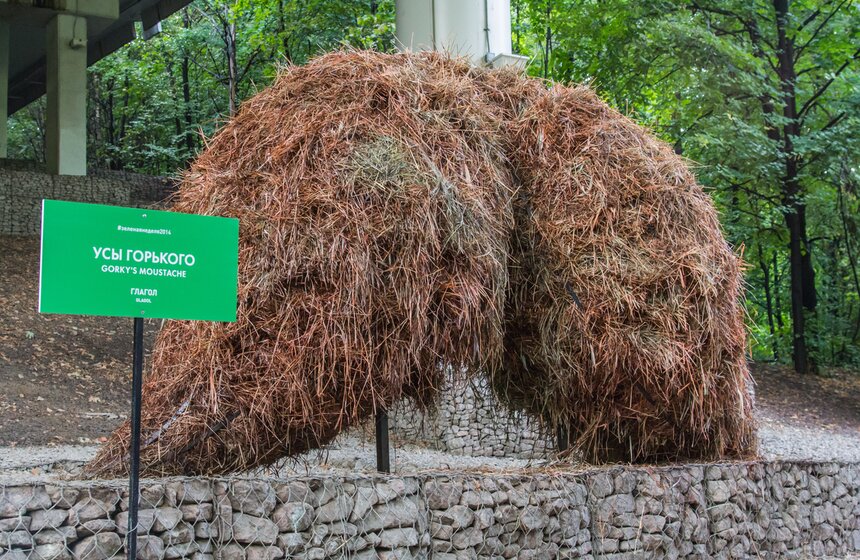 На Воробьевых горах завершается "Зеленая неделя" 1 фото