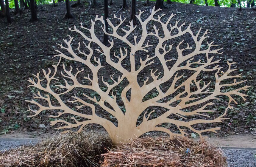 На Воробьевых горах завершается "Зеленая неделя" 8 фото