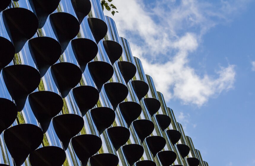 На Воробьевых горах завершается "Зеленая неделя" 13 фото