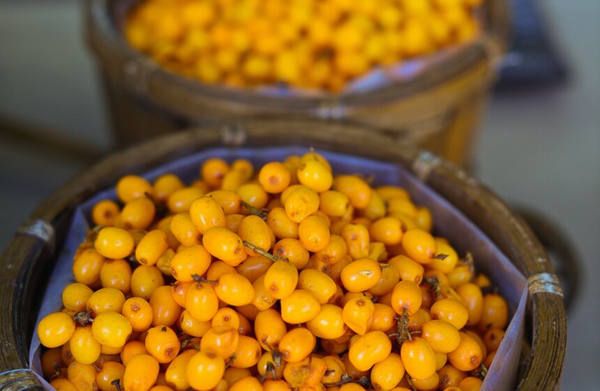 На Тверской площади проходят кулинарные мастер-классы 13 фото