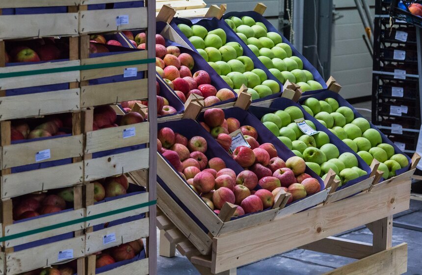 Сергей Собянин открыл первый столичный агрокластер 6 фото