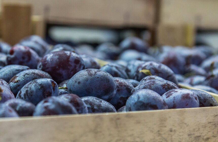 Сергей Собянин открыл первый столичный агрокластер 5 фото