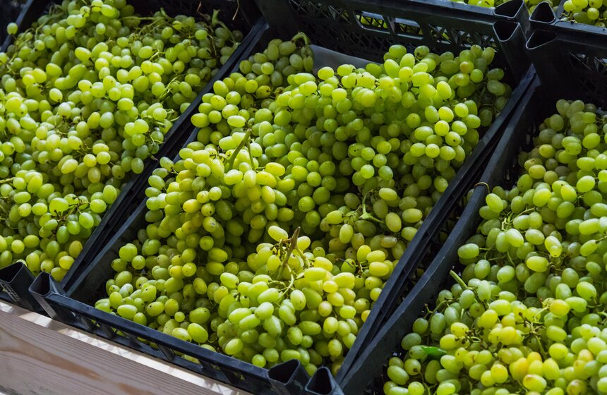 Сергей Собянин открыл первый столичный агрокластер 4 фото