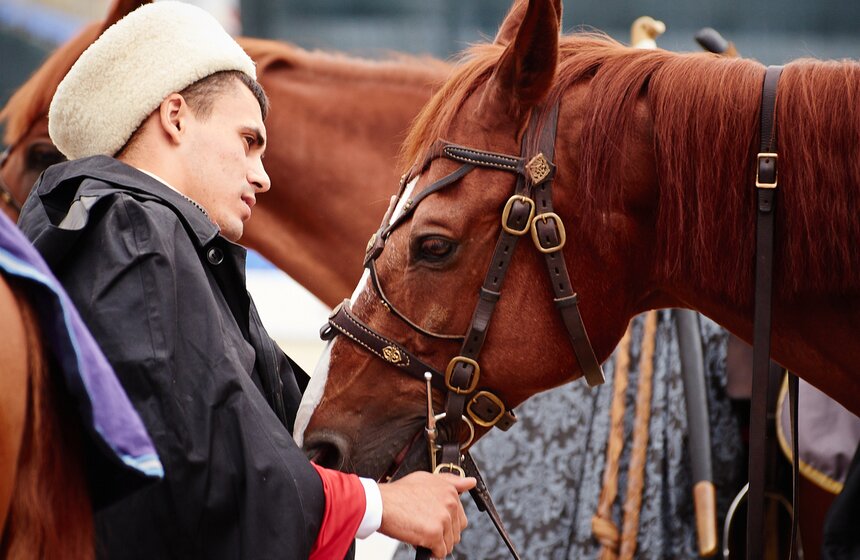 Кремлевская школа верховой езды представила новую программу 11 фото