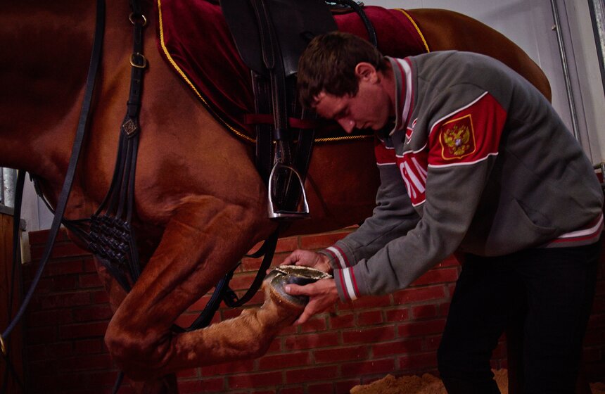 Кремлевская школа верховой езды представила новую программу 24 фото