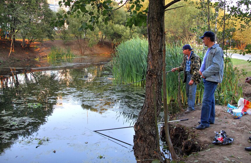 Сергей Собянин открыл благоустроенный парк в пойме реки Битца 11 фото
