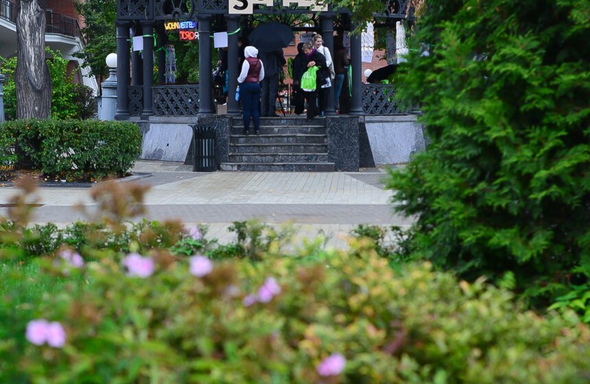 В саду "Эрмитаж" прошел фестиваль "Немецкий в кубе" 9 фото